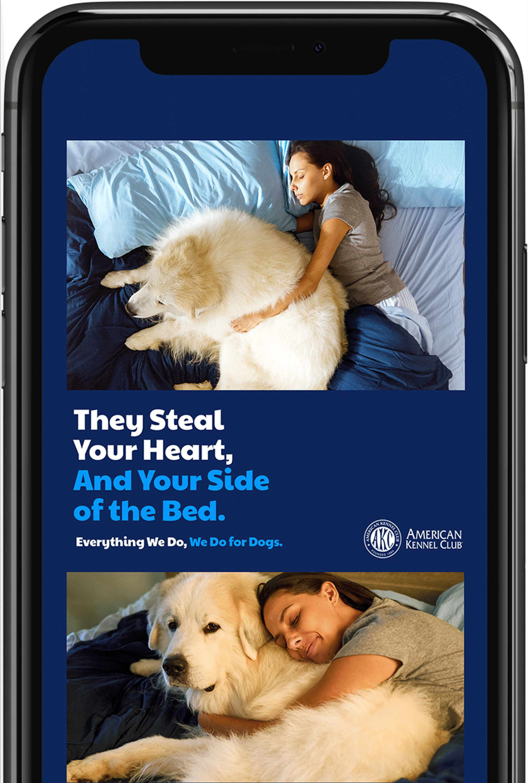 Banners_Comped_FPO_2.png